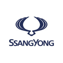 camera mers inapoi ssangyong