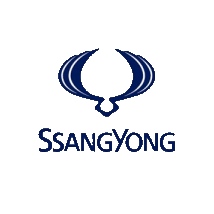 Navigatie Dedicata Ssangyong