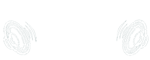 CarAudioMarket